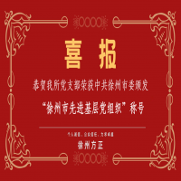 恭賀我所黨支部榮獲“徐州市先進(jìn)基層黨組織”稱號